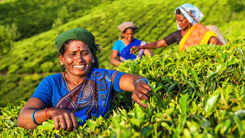 Agricultural Initiatives